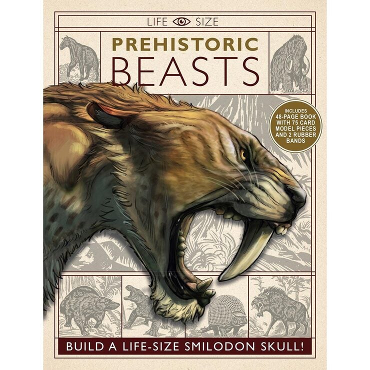 Life Size Beasts (8+ Years) Life Size Beasts (8+ Years)