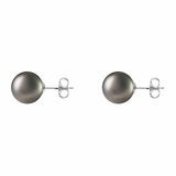 10-10.5mm Tahitian Pearl Earrings, 14ct White Gold 10-10.5mm Tahitian Pearl Earrings, 14ct White Gold