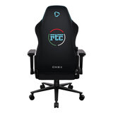 Back of Chair