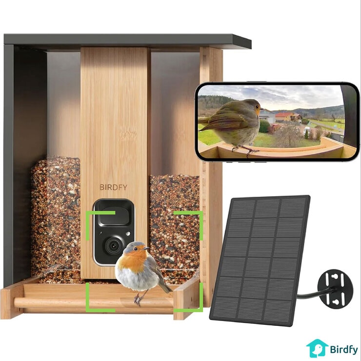 Birdfy Bamboo Bird Feeder with Solar Panel, HD Camera & Lifetime AI Feature Access Birdfy Bamboo Bird Feeder with Solar Panel, HD Camera & Lifetime AI Feature Access