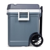 Igloo 62QT Cooler