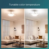 Lifestyle image showing colour options