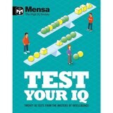Mensa Test Yourself in 2 Options: IQ or Logic