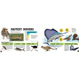 Amazing Animals