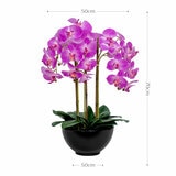 Artificial Orchid in Ceramic Pot in 2 Colours