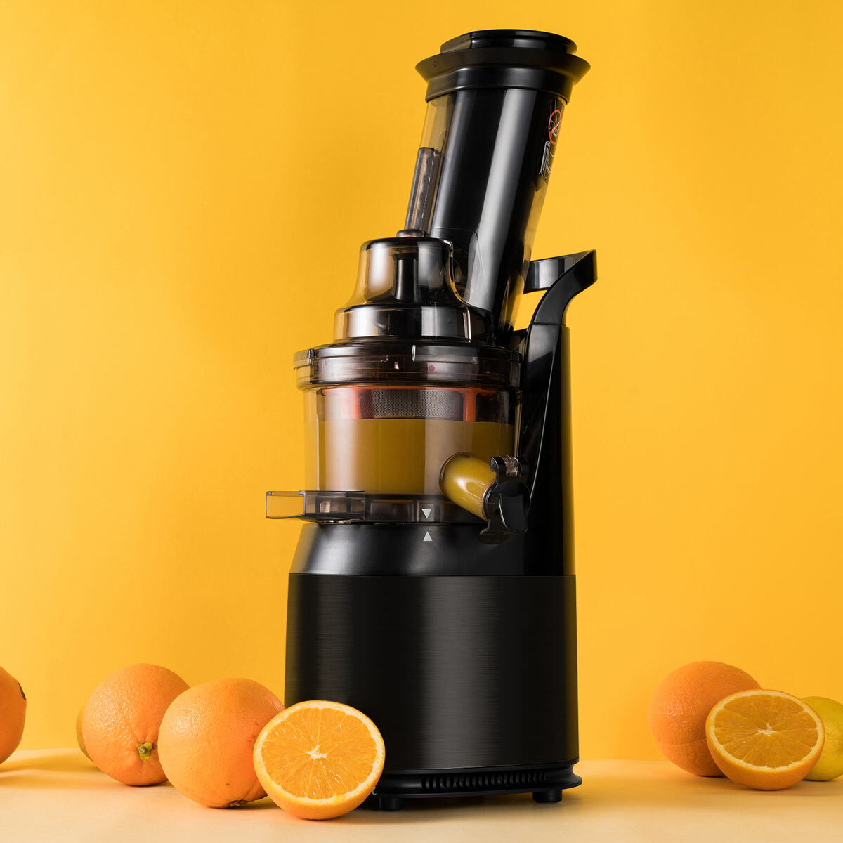 fridja f1900 juicer