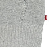 Levi Youth Zip Up Hoodie in Grey