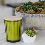 Sand and Fog Scalloped Candle (GREEN)