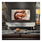 Buy LG OLED48B56LA.AEK 48" OLED TV at Costco.co.uk