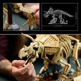 LEGO Jurassic World Dinosaur Fossils: Triceratops - Model 77985 (18+ Years) LEGO Jurassic World Dinosaur Fossils: Triceratops - Model 77985 (18+ Years)