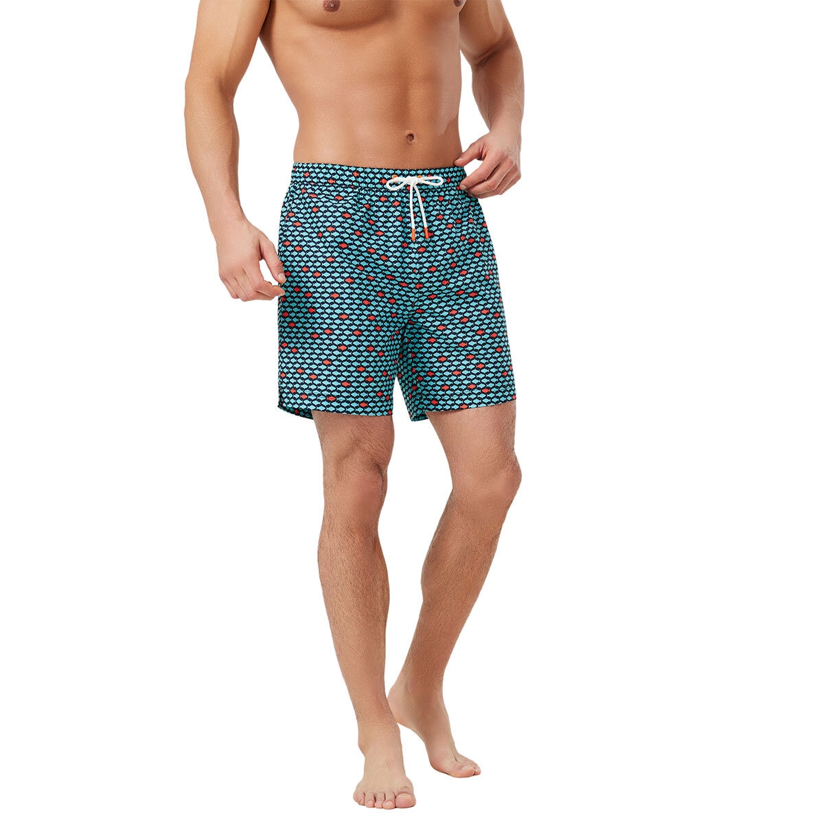 Swims Men's Swim Shorts in Fish, Medium