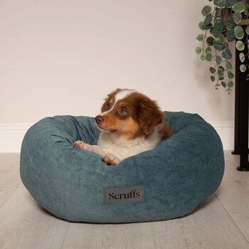 Scruffs Oslo Large Pet Bed, 65cm (25.5") in 2 Options