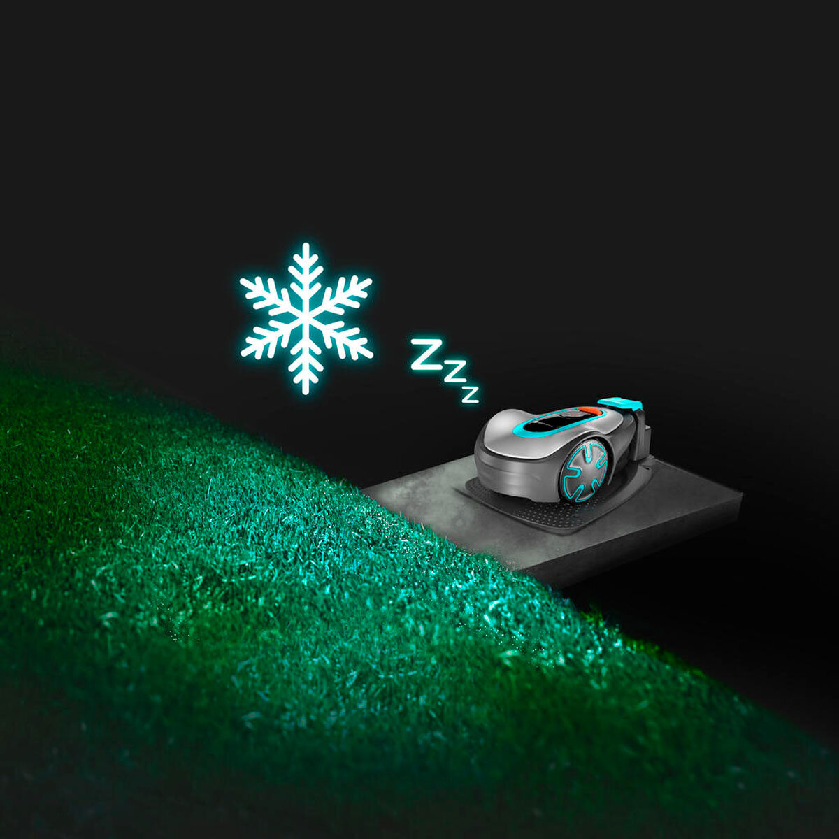 Frost sensor