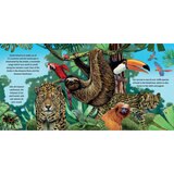 Wild Animals 2