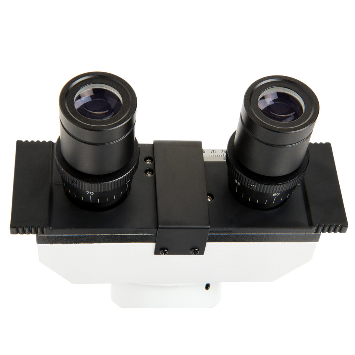 Celestron CB2000CF LABS Binocular Compound Microscope