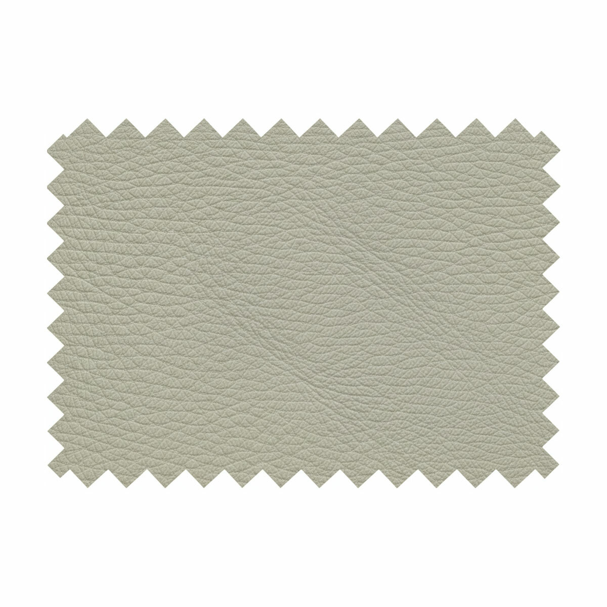 Nicoletti Beige Leather Sample Swatch