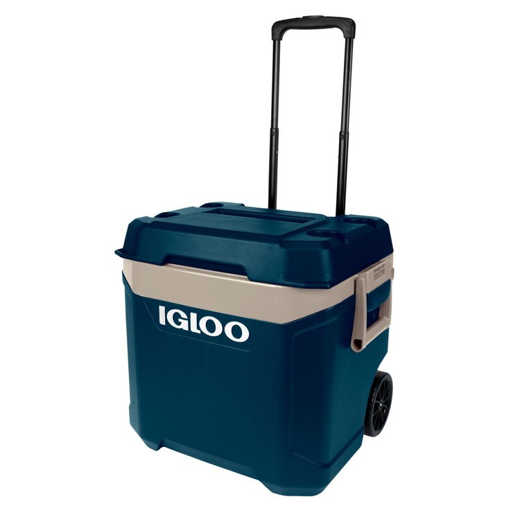 igloo max cold cool box