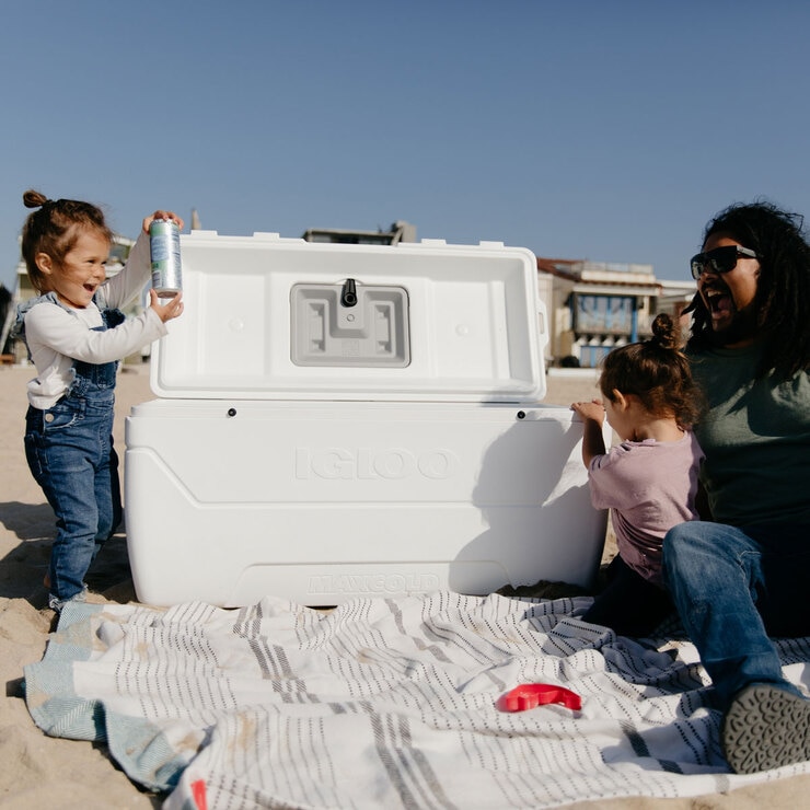 igloo maxcold 156 litre cool box