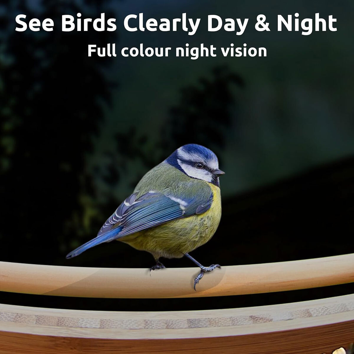Birdfy Bamboo Bird Feeder with Solar Panel, HD Camera & Lifetime AI Feature Access