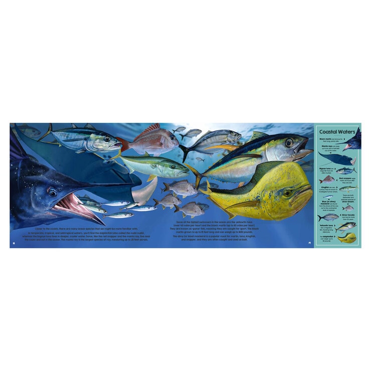 Animals of the Ocean 3 Animals of the Ocean 3
