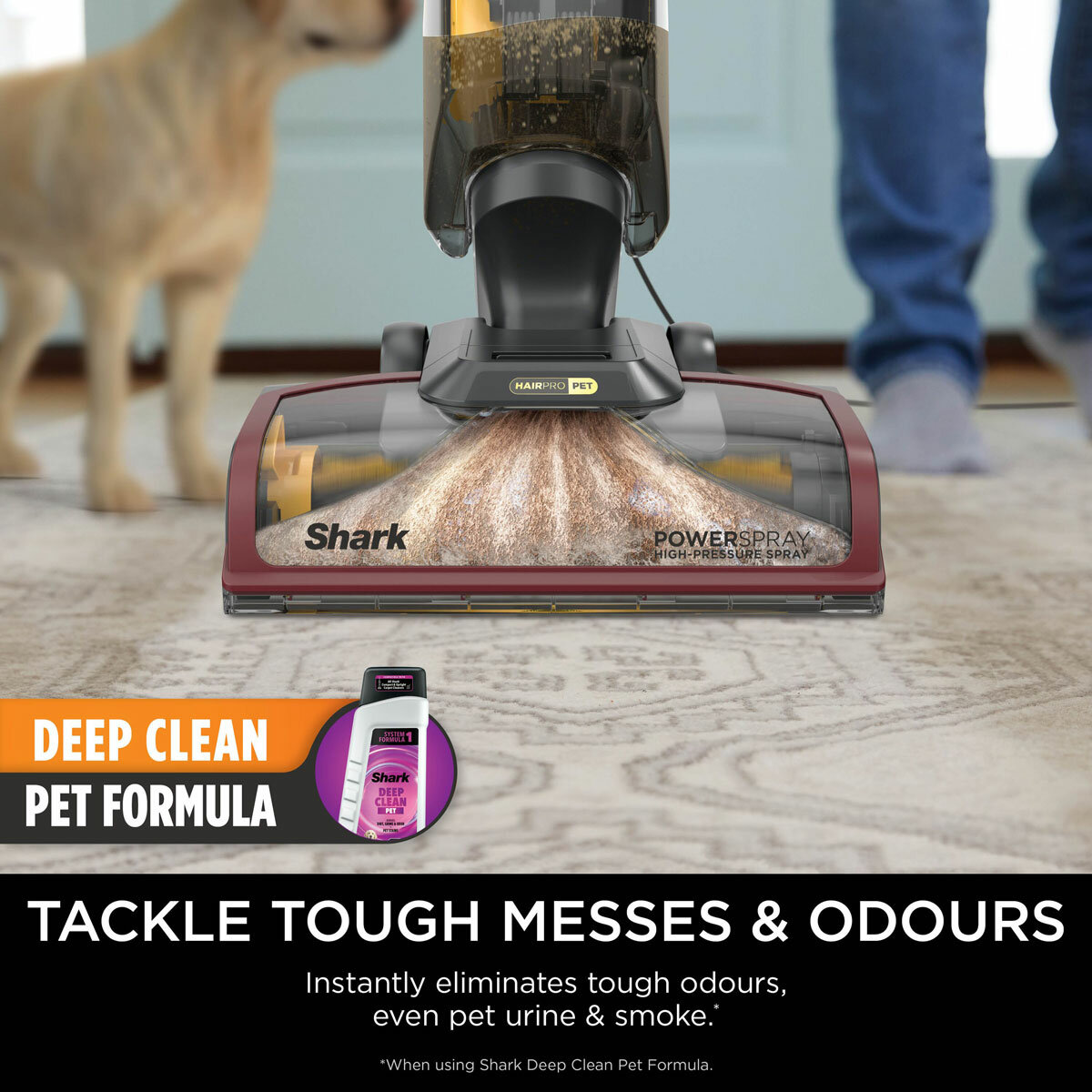 Lifestyle image of Shark CarpetXpert HairPro Pet Deep Carpet Cleaner tackling tough messes& odours