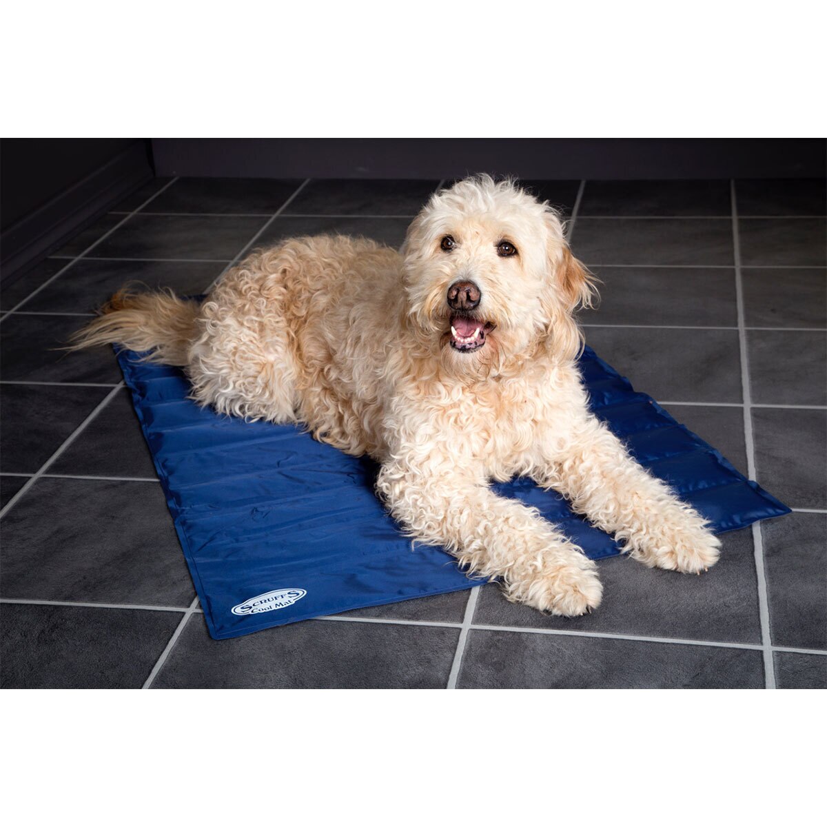 Scruffs Cool Mat For Pets, Large Costco UK