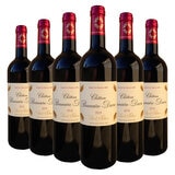 Chateau Branaire-Ducru St Julien GCC 2019, 6 x 75cl