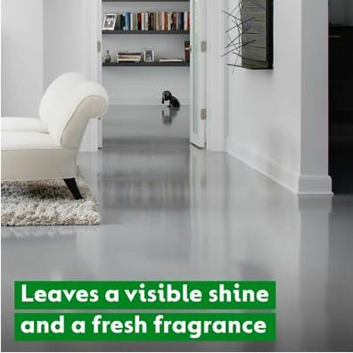Visible Shine & Fresh Fragrance