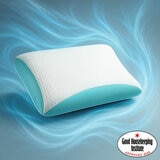 REM-Fit Cool Gel Memory Foam Pillow