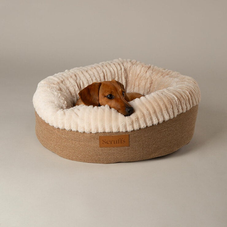 Scruffs® Ellen Donut Medium Bed in Tan, 55cm Scruffs® Ellen Donut Medium Bed in Tan, 55cm