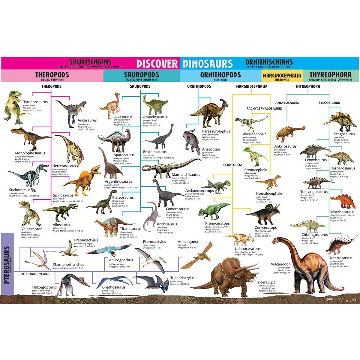 Image of different animals