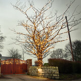Buy Warm White String 20m 120 Bulbs LED Lights Overview4 Image at Costco.co.uk