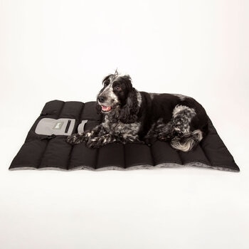 Scruffs Reversible Roll Up Travel Bed, 100cm x 70cm in 3 Colours