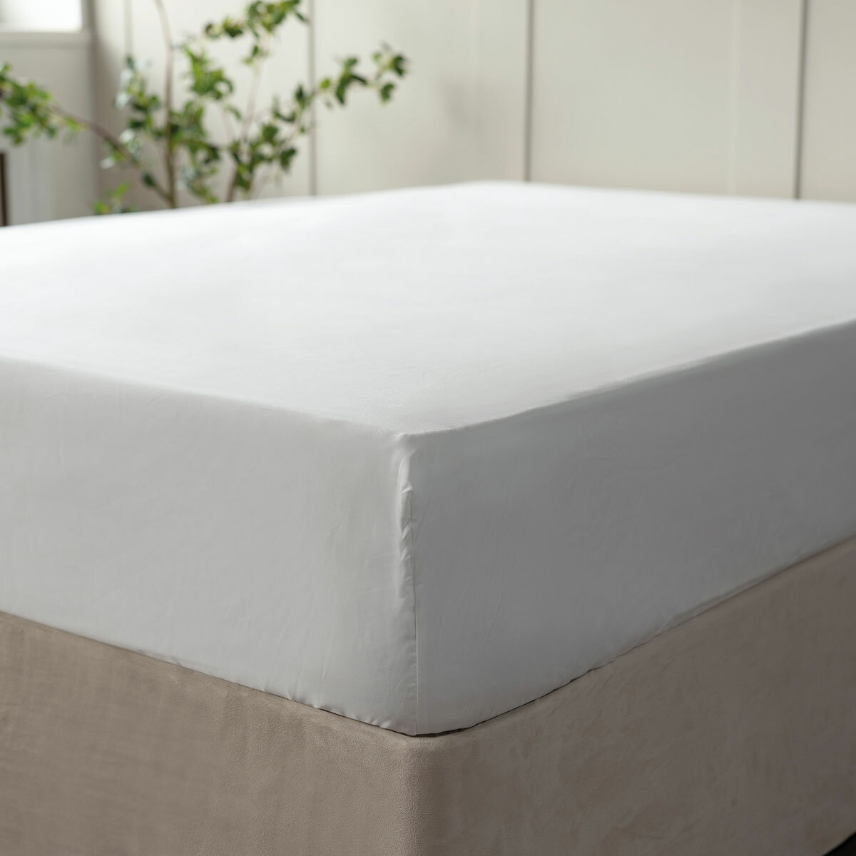 Belledorm 600 Thread Count Cotton White Fitted Sheet in 3 Sizes Belledorm 600 Thread Count Cotton White Fitted Sheet in 3 Sizes