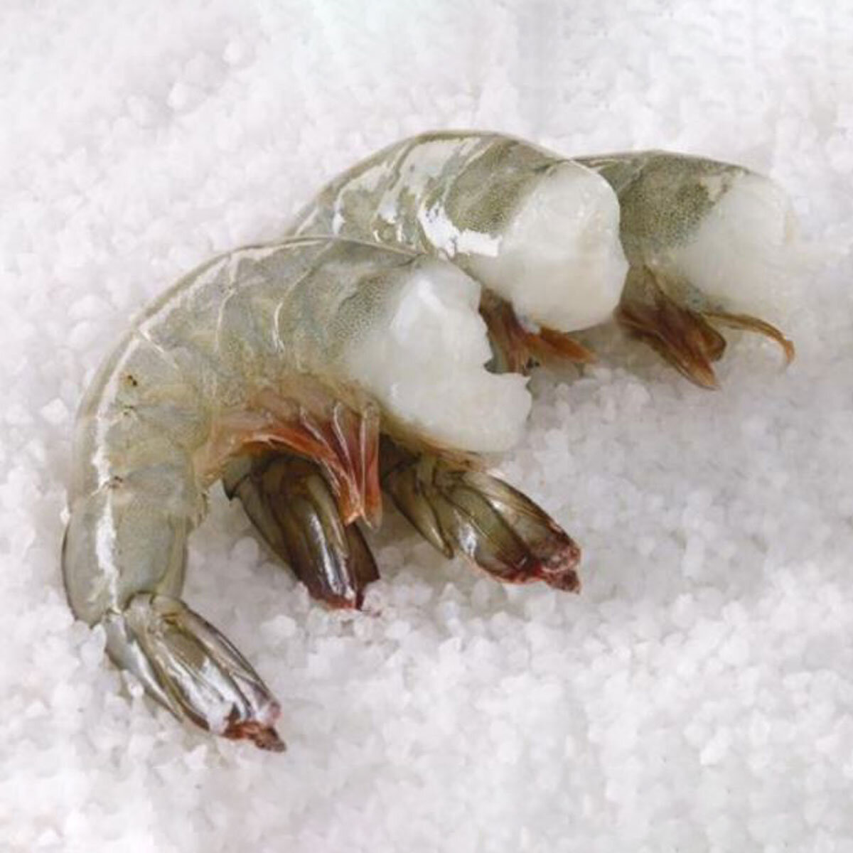 SPI Raw Large Head Off Shell On King Prawns, 908g