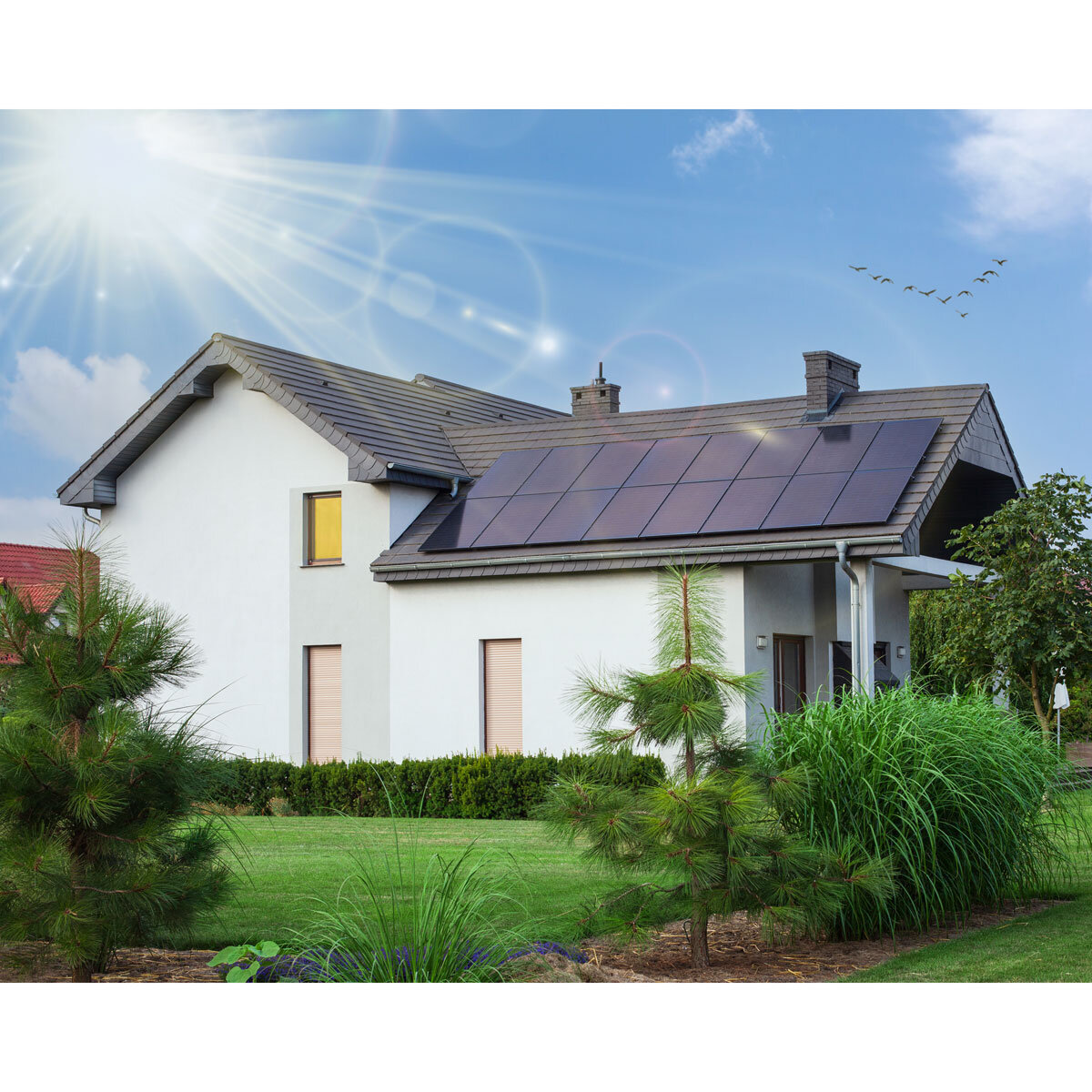 Fresh Electrical Solar