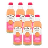 Equinox Organic Kombucha Raspberry & Elderflower, 6 x 275ml