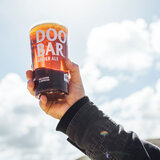 Sharp's Doom Bar Amber Ale, in glass being held up to sky