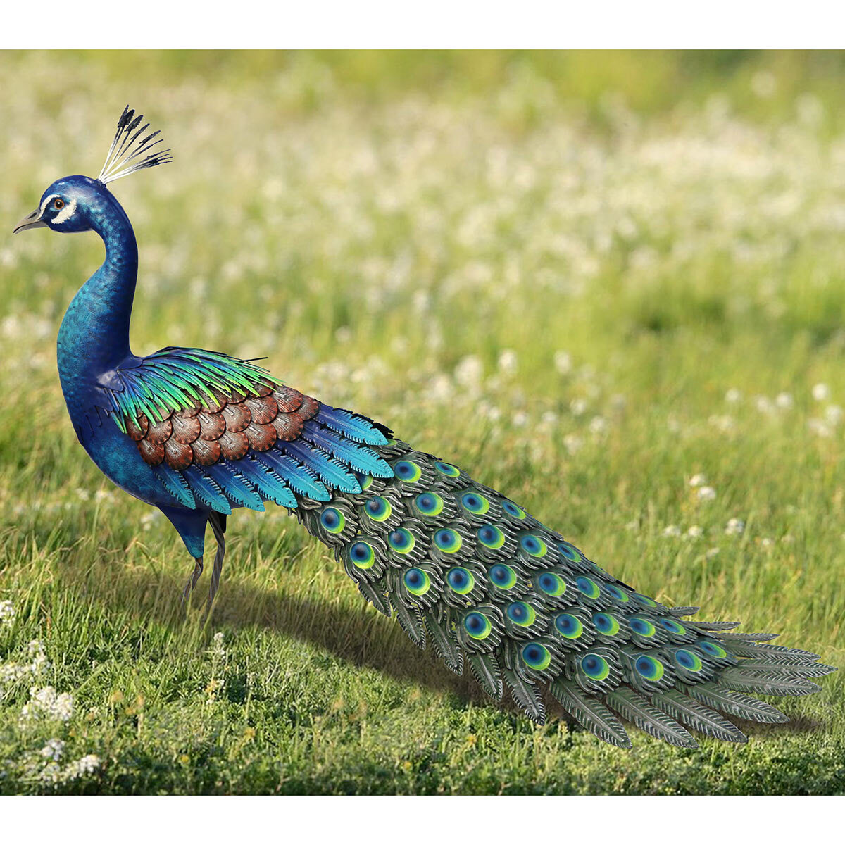 Peacock Garden Ornaments Australia Home and Garden Reference