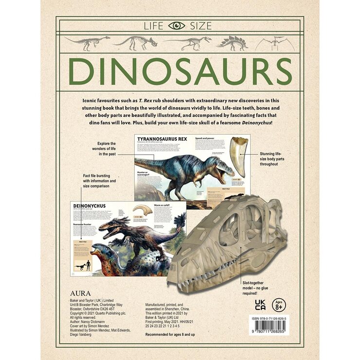 Life Size Dinosaurs (8+ Years) Life Size Dinosaurs (8+ Years)