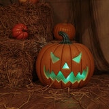 Halloween 17 Inches (44.4cm) Squatty Jack O Lantern Pumpkin With LED Flickering Lights & Sounds