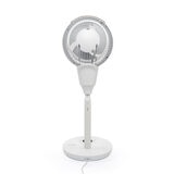 image of fan