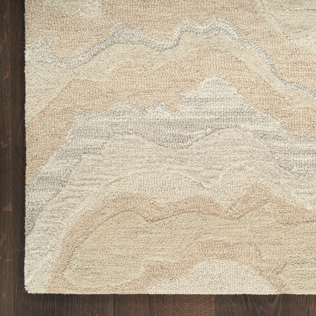 Nourison Graceful Beige Rug in 2 Sizes