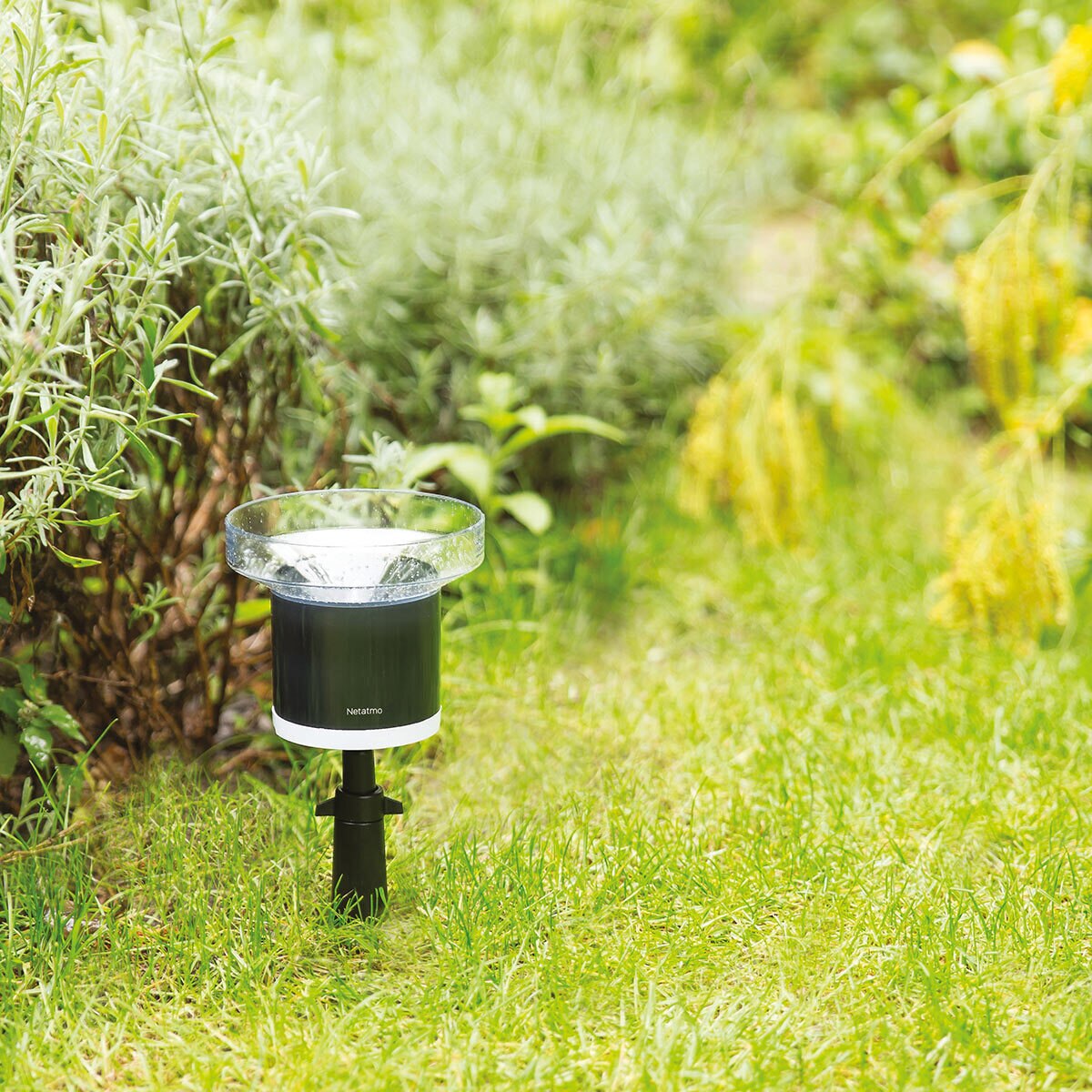 Netatmo Smart Weather Station with Rain Gauge Costco UK
