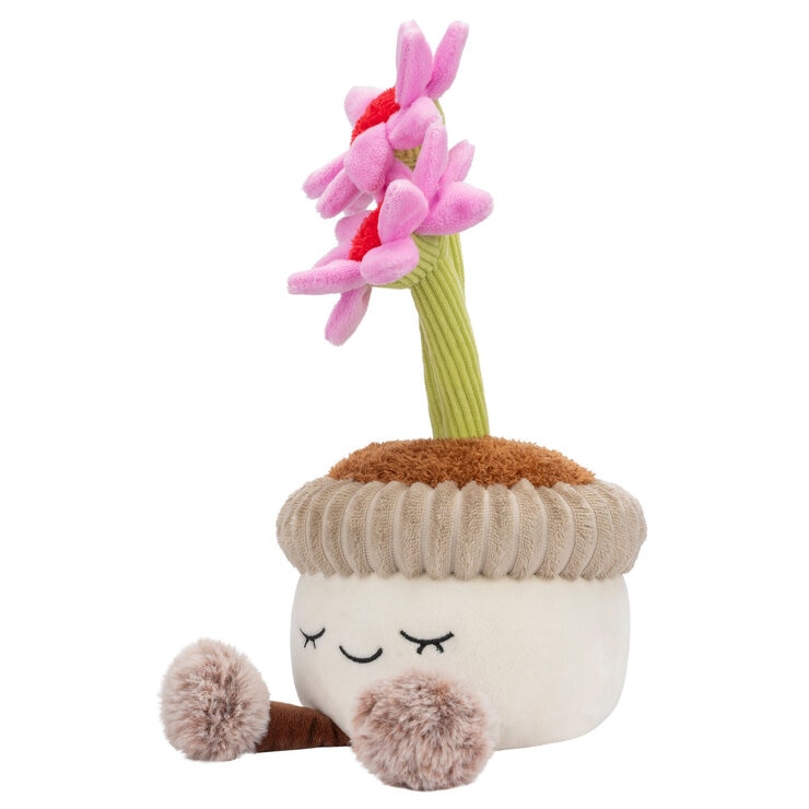 Potted Plants Flowers Item Image