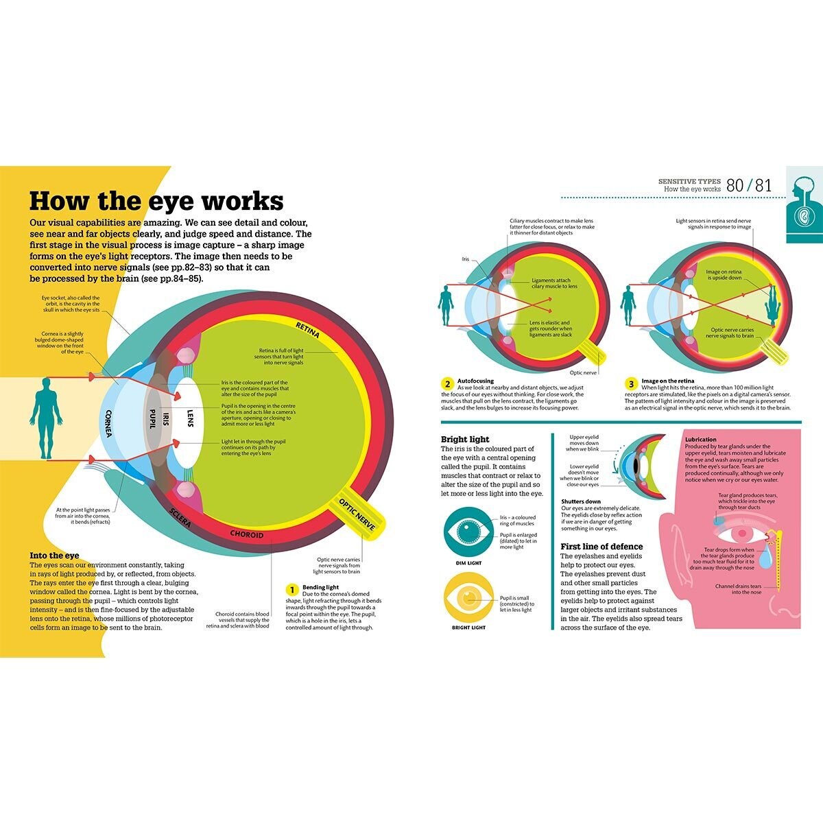 Page spread of How food works