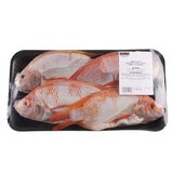 Tray of Kirkland Signature Farmed Whole Tilapia