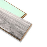 Singles plank on white background