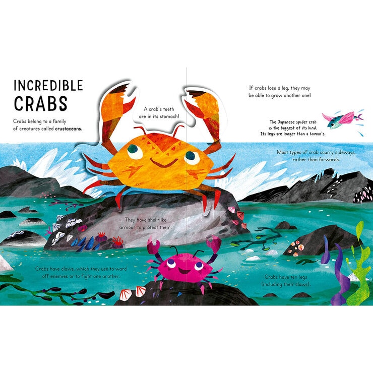 Curious Kids Pop-Up Book (2+ Years), Sea and Shore Curious Kids Pop-Up Book (2+ Years), Sea and Shore