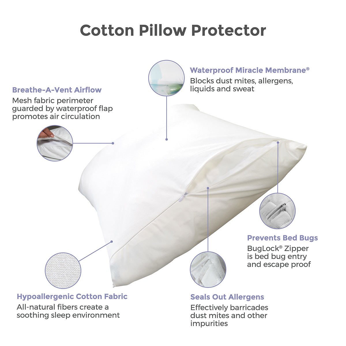 Protect-A-Bed Cotton Pillow Protector 75 x 50 cm, 2 Pack